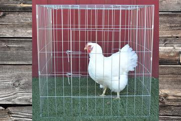 Folding Temporary Wire Cage