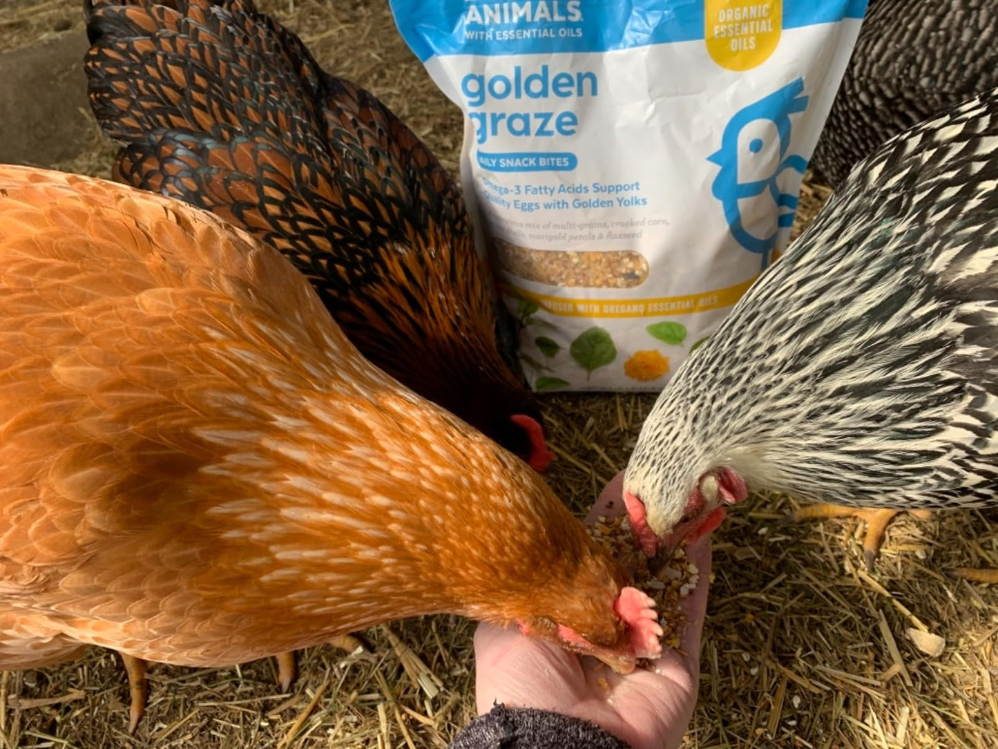 Golden Graze - helps with golden yolks