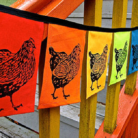 Coop/Garden (Art, Flags, Signs)