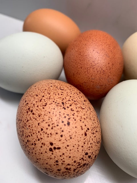 Eggs (stamps and supplies)