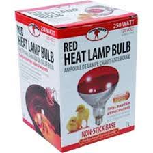 Infrared Red Heat Bulb