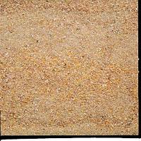 Baby Chick Feed - organic