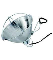 Baby Chick - Heat Lamp