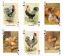 Playing Cards