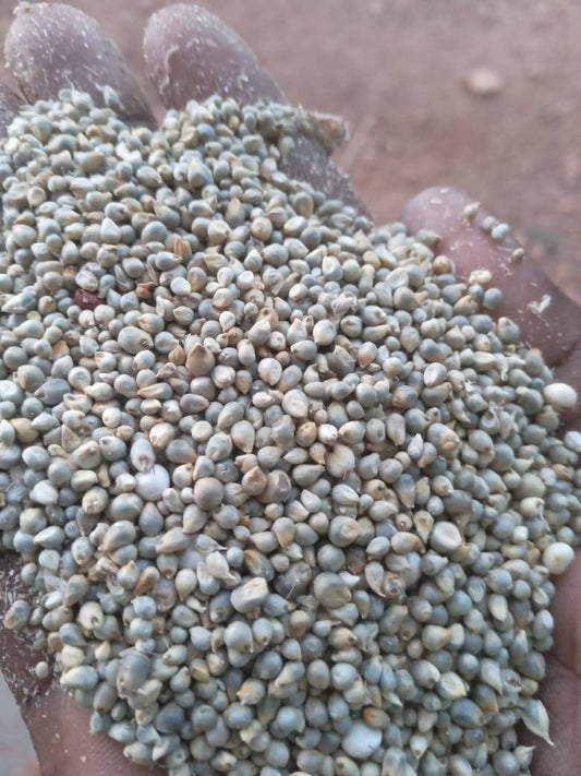 White Millet (5 lbs)